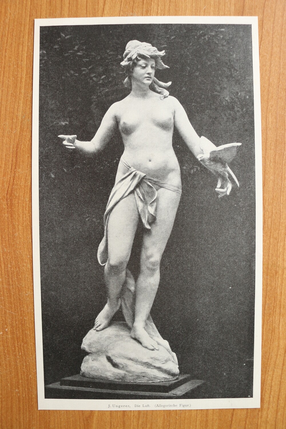 Kunst Druck nach J Ungerer 1890-1910 Allegorische Figur Die Luft Frau Vogel Akt 16 x 28 cm