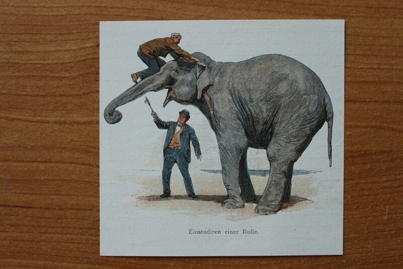 Farb Holzstich 1890-1910 Elefant Einstudieren einer Rolle Zirkus 10,5 x 10 cm Farb Holzstich 1890-1910 Elefant Einstudieren einer Rolle Zirkus 10,5 x 10 cm