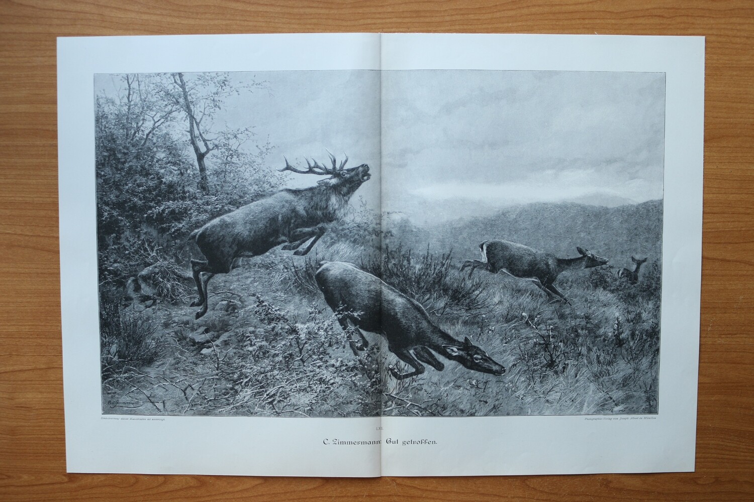 Holzstich nach Carl Zimmermann 1890-1910 Gut getroffen Hirsch Rehe Jagd 52 x 35,5 cm