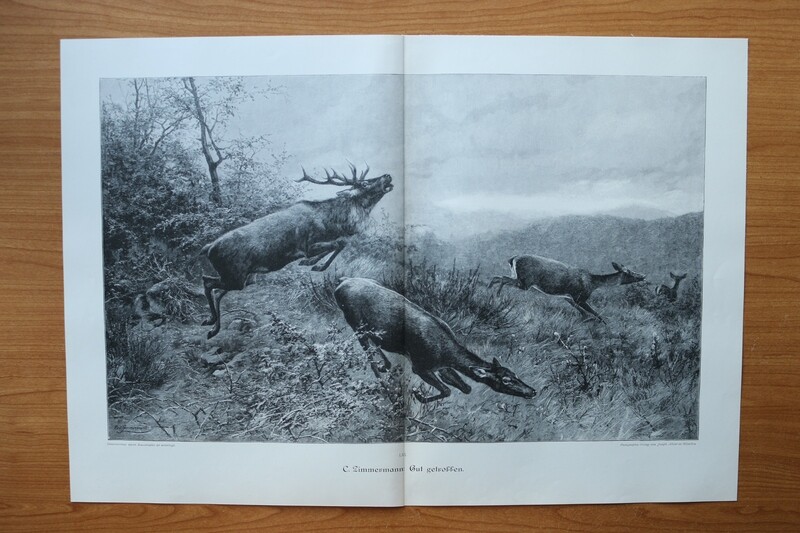 Holzstich nach Carl Zimmermann 1890-1910 Gut getroffen Hirsch Rehe Jagd 52 x 35,5 cm