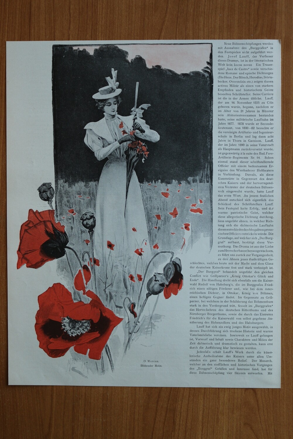 Kunst Druck nach O Marcus 1890-1910 Blühender Mohn Mohnblumen Feld Frau Kleid 26,5 x 34 cm