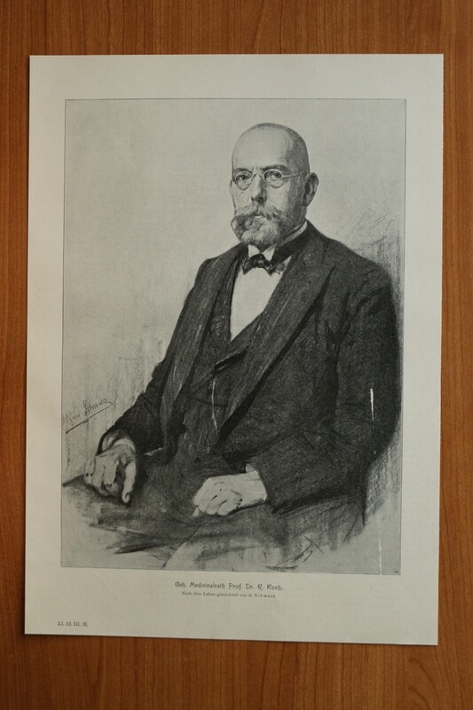 Kunst druck nach A Schwarz 1890-1910 Geheimer Medizinalrat Prof Dr Robert Koch Portrait Medizin 25 x 35,5 cm