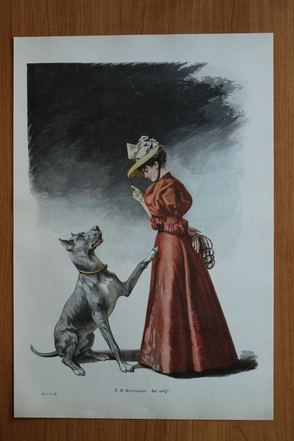 Farb Holzstich nach E M Sturtevant 1890-1910 Sei Artig Frau Kleid Mode grosser Hund Hunderasse 26 x 39 cm