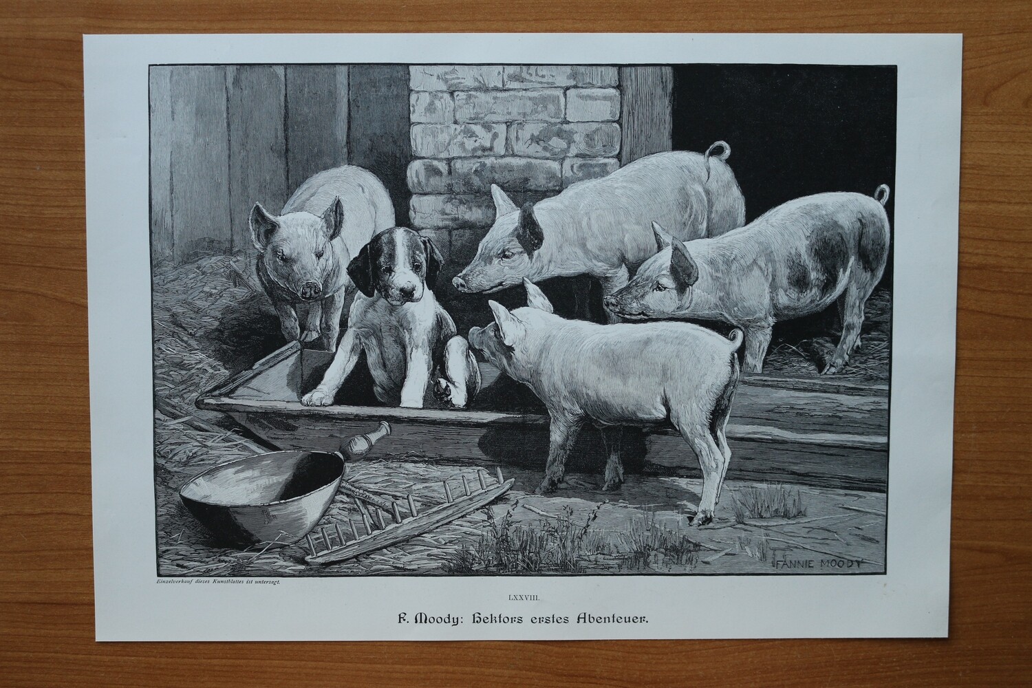 Holzstich nach Fanny Moody 1890-1910 Hektors erstes Abenteuer Hund Schwein Ferkel Futtertrog 37 x 26 cm