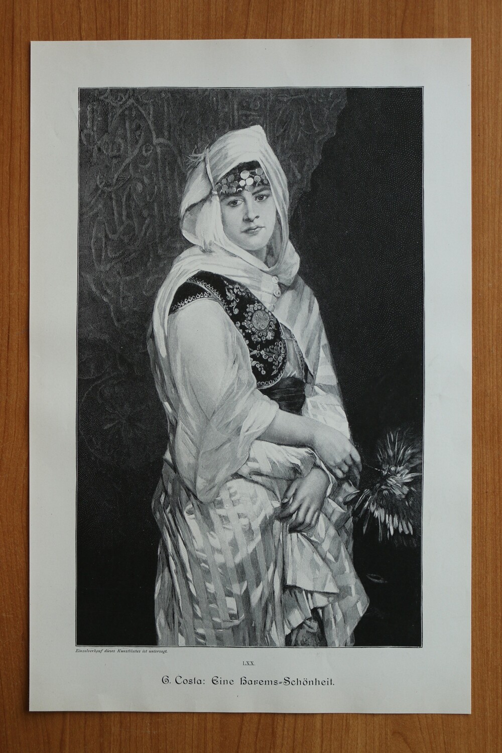 Holzstich nach G Costa 1890-1910 Eine Harem Schünheit Fau Kleidung Tracht 25 x 38,5 cm