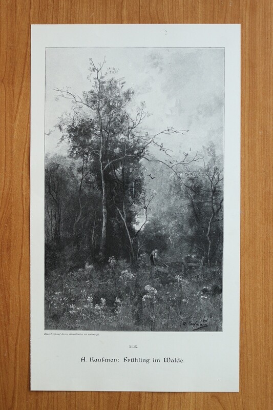 Holzstich nach A Kaufmann 1890-1910 Frühling im Walde Landschaft 20 x 35 cm Holzstich nach A Kaufmann 1890-1910 Frühling im Walde Landschaft 20 x 35 cm