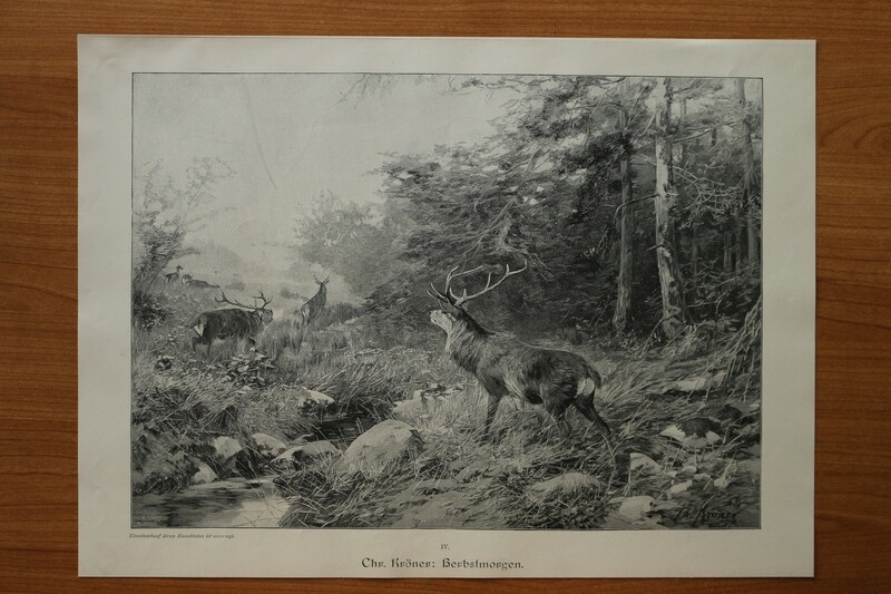 Holzstich nach Chr Kröner 1890-1910 Herbstmorgen Hirsch Brunft Wald 37,5 x 27,5 cm Holzstich nach Chr Kröner 1890-1910 Herbstmorgen Hirsch Brunft Wald 37,5 x 27,5 cm