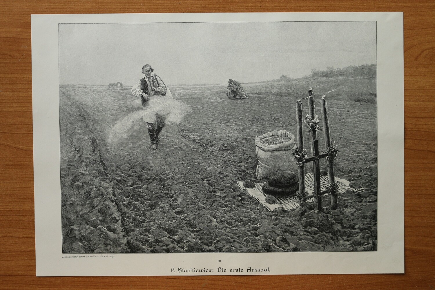 Holzstich nach P Stachiewicz 1890-1910 Die erste Aussaat Bauern Feld Landwirtschaft 37 x 26,5 cm