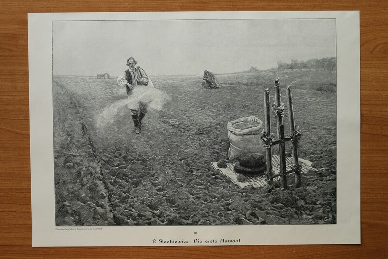 Holzstich nach P Stachiewicz 1890-1910 Die erste Aussaat Bauern Feld Landwirtschaft 37 x 26,5 cm