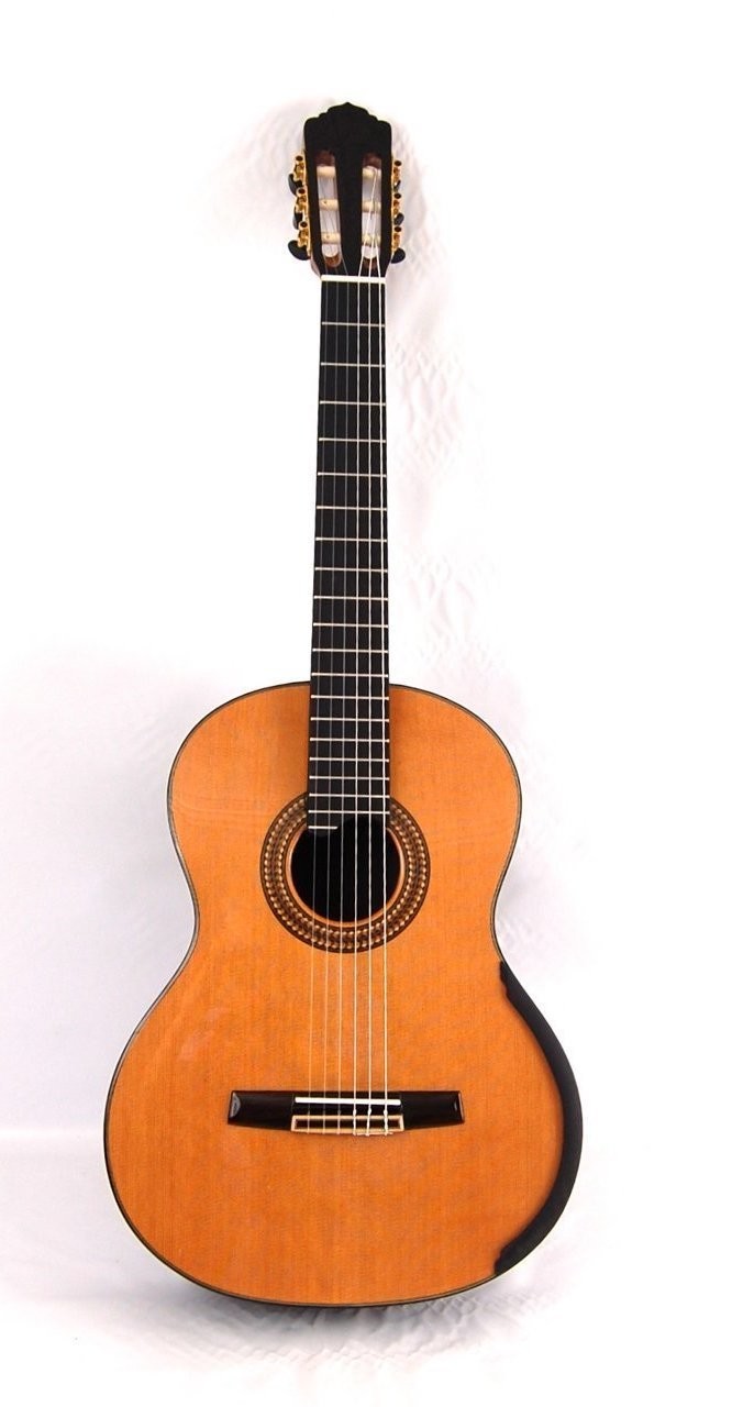 Calido CG 3222-CAX - Left Handed - Solid Cedar Top - Lattice Braced, Arched Indian Rosewood Back