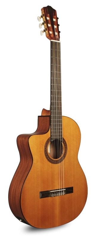 Solid Cedar Top, Fishman Electronics
