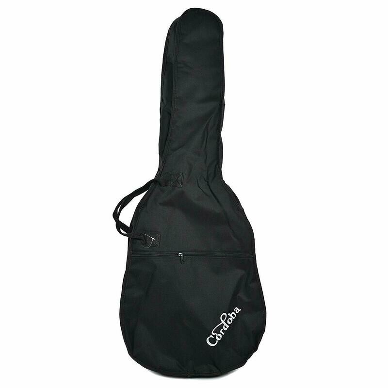 Limited Time Back to School Guitar Special - Stagg Student Guitar