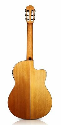 Cypress Back/Sides