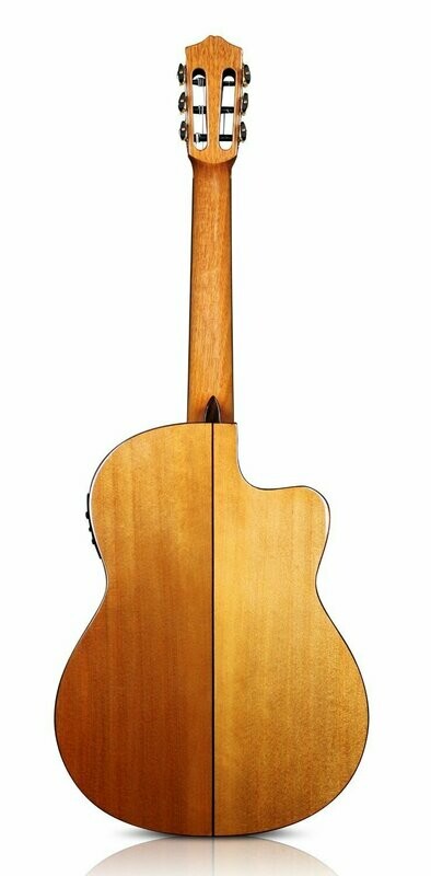 Cypress Back/Sides