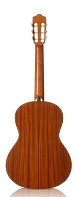 Mahogany Back/Sides