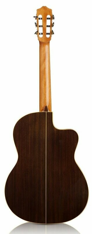 Indian Rosewood Back/Sides