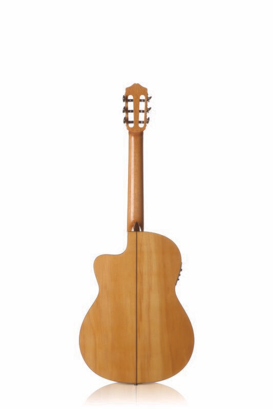 Solid Cypress Back/Sides