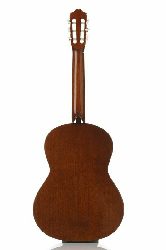 Mahogany back/sides