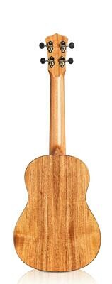 Cordoba 35T - All Solid Tenor Ukulele with Polyfoam Case