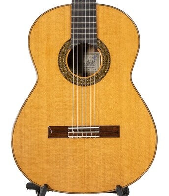 Estevé 12 - Professional Level Classical Guitar - Cedar top, Pau Ferro Back/Sides - All Solid Woods - Handcrafted in Valencia, Spain Estevé 12 - Professional Level Classical Guitar - Cedar top, Pau Ferro Back/Sides - All Solid Woods - Handcrafted in Valencia, Spain