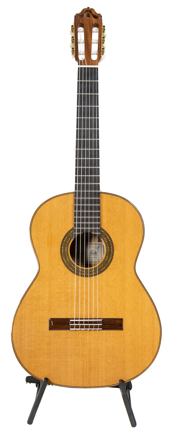 Estevé 12 - Professional Level Classical Guitar - Cedar top, Granadillo  Back/Sides - 650mm Scale Length - All Solid Woods - Handcrafted in  Valencia, Spain
