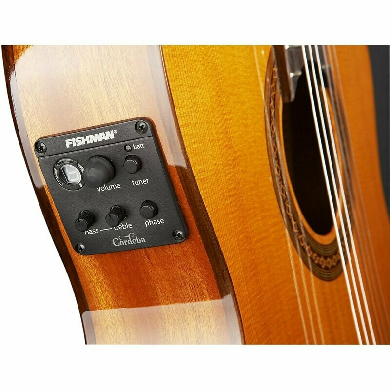 Fishman Electronics