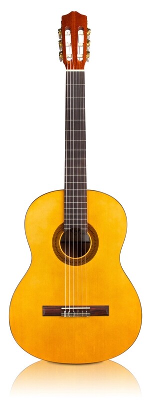Back to School Guitar Special- Cordoba C1 Protege with Cordoba Standard Gig Bag - Quality beginner Classical Guitar