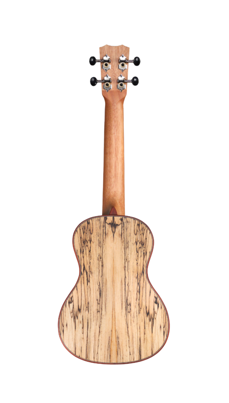 Cordoba 24C - Concert Ukulele - Solid Spruce Top, Spalted Maple Back/Sides