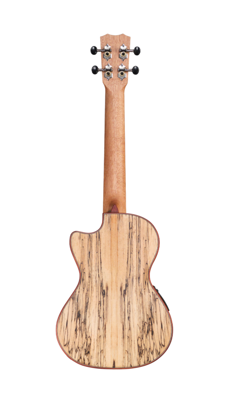 Cordoba 24T-CE - Tenor AE Ukulele, Solid Spruce Top, Spalted Maple Back/Sides