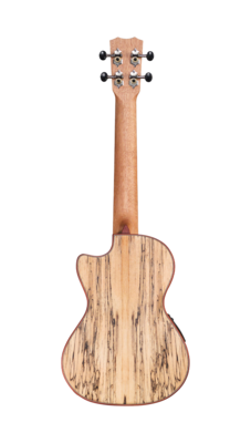 Cordoba 24T-CE - Tenor AE Ukulele, Solid Spruce Top, Spalted Maple Back/Sides