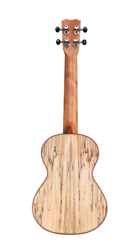 Cordoba 24T - Tenor Ukulele - Solid Spruce Top, Spalted Maple Back/Sides