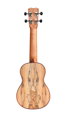 Cordoba 24S Soprano Ukulele - Spruce Top, Spalted Maple Back/Sides
