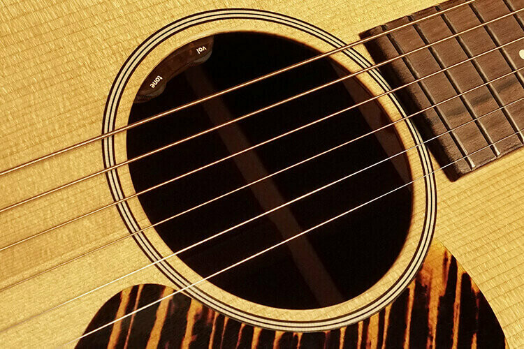 LR Baggs Element VTC and VTC-N for Acoustic Guitars - Steel String and Nylon String