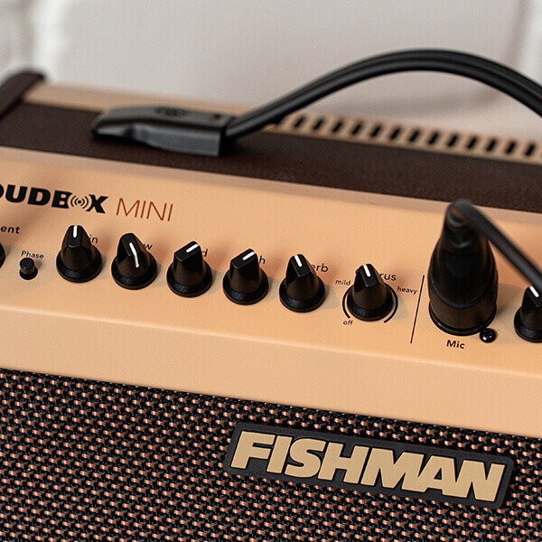 Fishman Loudbox Mini + BT, 60 Watt Amplifier with Bluetooth
