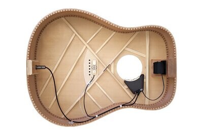 LR Baggs Anthem for Steel String Guitars