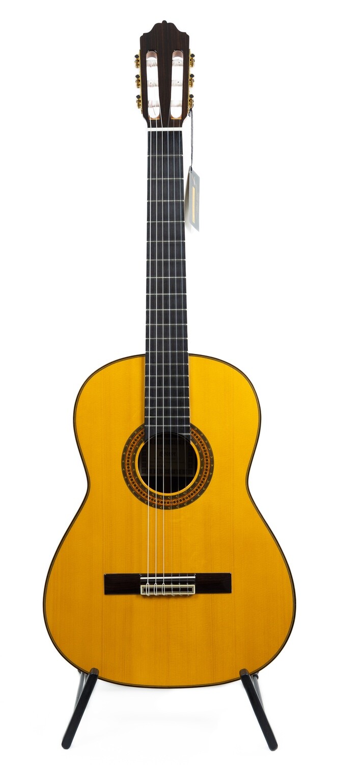 Estevé Alegria - All solid wood - Spruce/Indian Rosewood