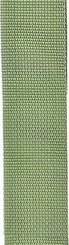 D'Addario Accessories Guitar Strap - Polypropylene - GREEN