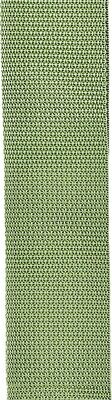 D'Addario Accessories Guitar Strap - Polypropylene - GREEN