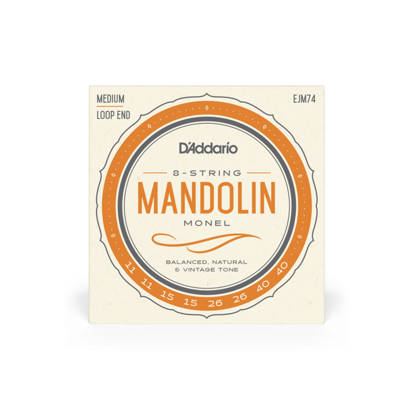 D'Addario Mandolin Monel Set, Medium, 11-40 (EJM74)