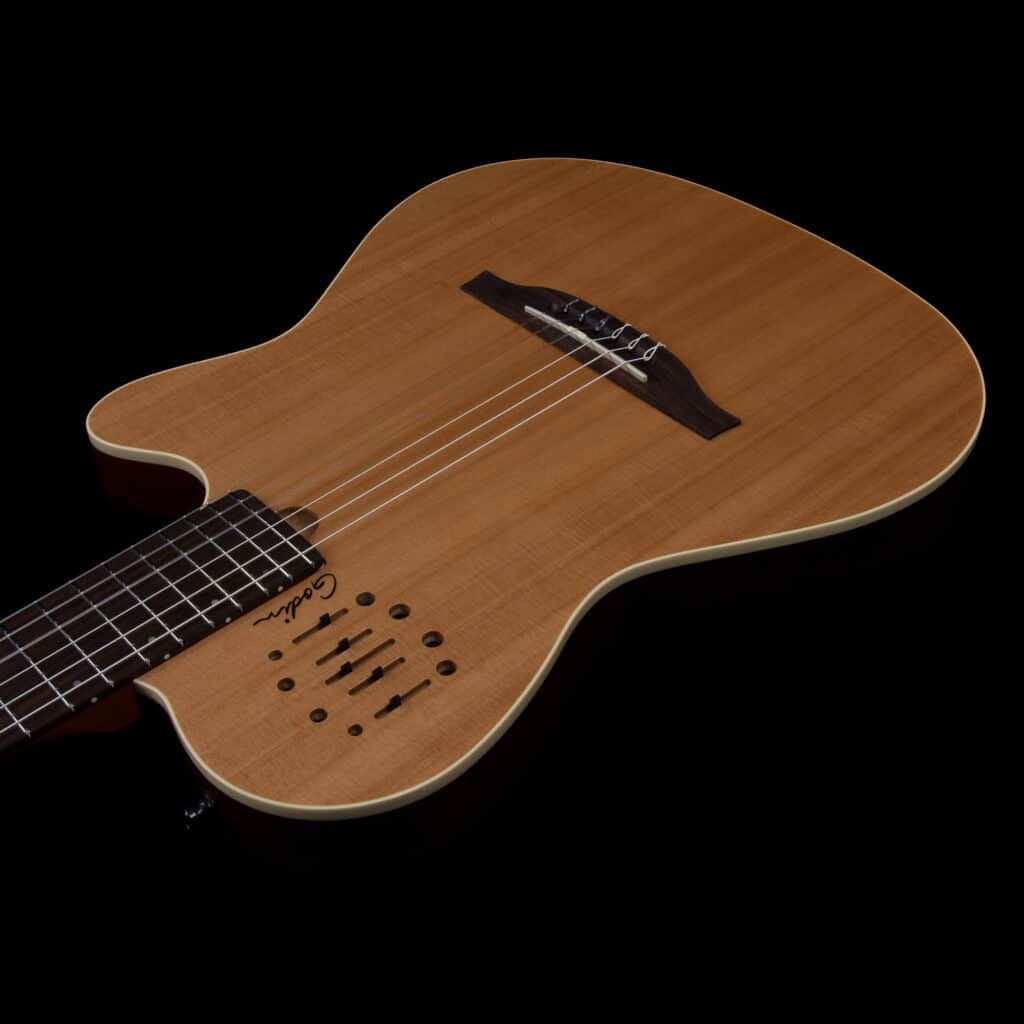 Godin Multiac Nylon Encore 値下げしました！ Amazon.com: Godin Multiac Nylon Encore Acoustic Electric