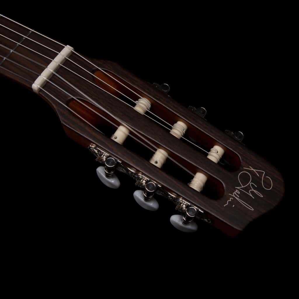GODIN ゴダン Multiac Nylon Encore Godin Multiac Nylon Encore - Electric Nylon String Guitar
