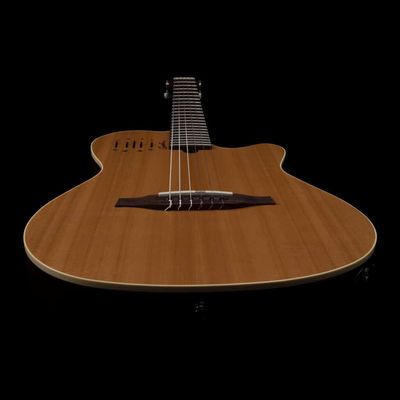 Godin Multiac Nylon Encore - Electric Nylon String Guitar