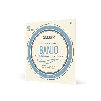 D'Addario EJ69 Phosphor Bronze 5-String Banjo Strings, Light, 9-20