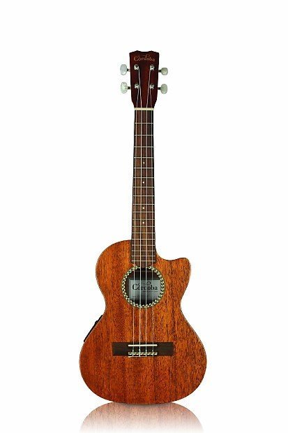 Solid Mahogany top,  Rosewood fingerboard and bridge, Satin matte finish, 35mm nut width, 432mm scale length, Cordoba 2Band EQ pickup, Aquila Nylgut strings