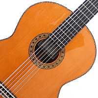 Orchestral Guitars