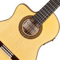 Left Handed Guitars