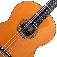Baritone, Bass, and Contrabass Guitars