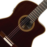 Specialty Guitars