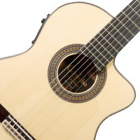 Acoustic Electric