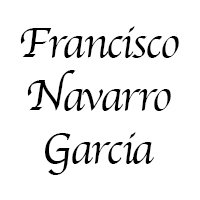 Francisco Navarro Guitars
